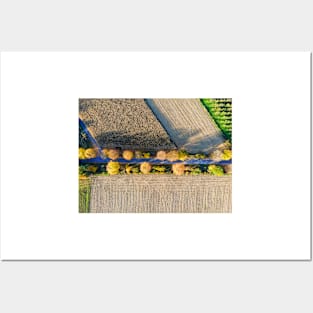 Aerial view of country road, autumn trees and ploughed field Posters and Art